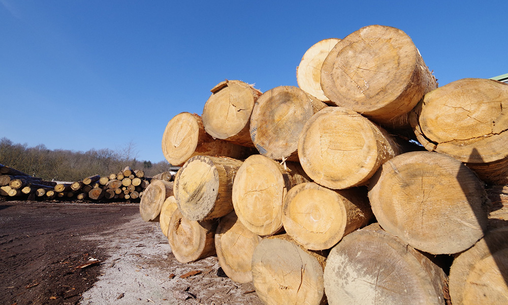 ドイツ産のもみの原木を輸入できるマルサ工業の体制